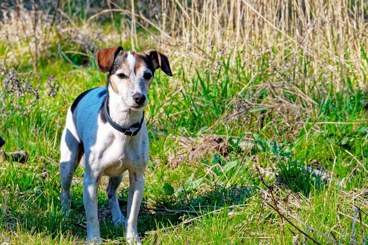 Šiauliuose: Įsibrovus į statybinį konteinerį, iš jo pavogti darbo įrankiai